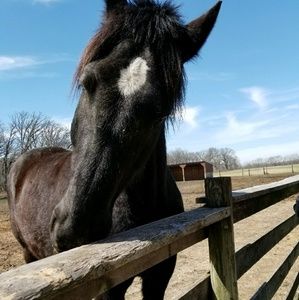 Meet your Posher, Olivia